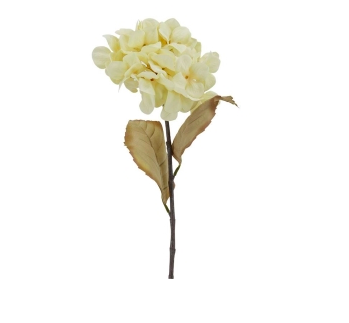 Dried Look Hydrangea - Antique White