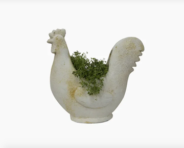 Chook Flower Pot