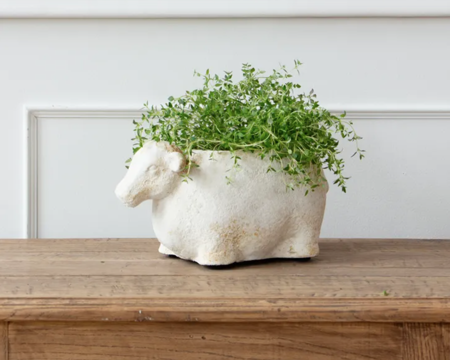 Sheep Flower Pot