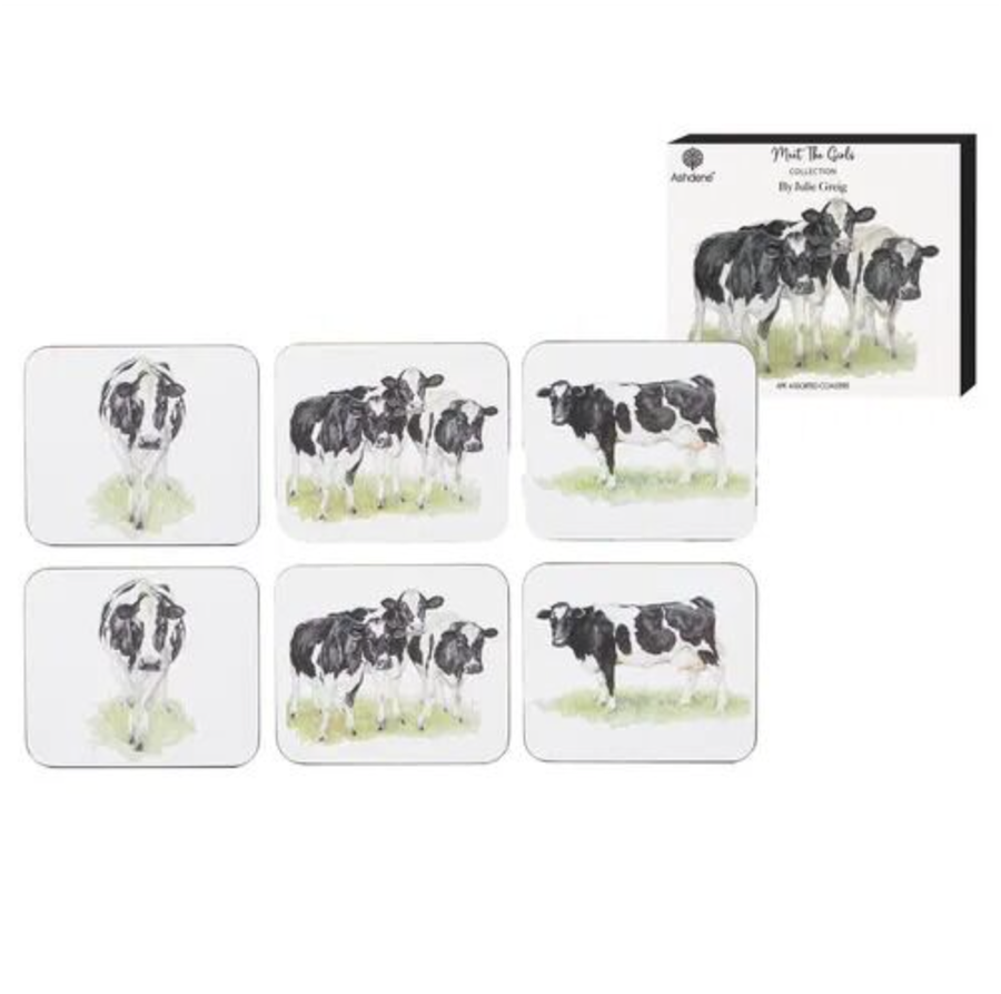 Meet The Girls 6pk Coaster