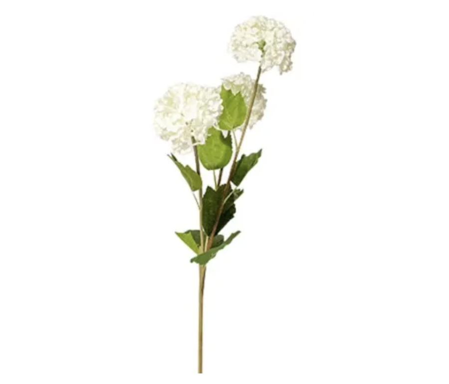 Snow Ball Flower - White