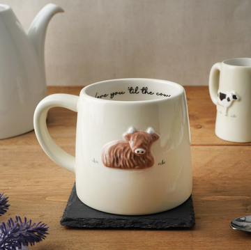 Farm Highland Cow Mug