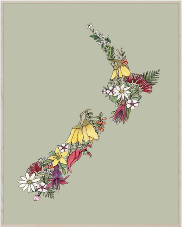 Box Frame - NZ Flora