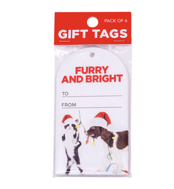 Christmas Set Of 6 Gift Tags - Bright