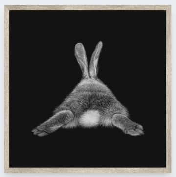 Box Frame - Cotton Tail/15.5cm