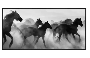 Wild Horses Canvas - Black Frame